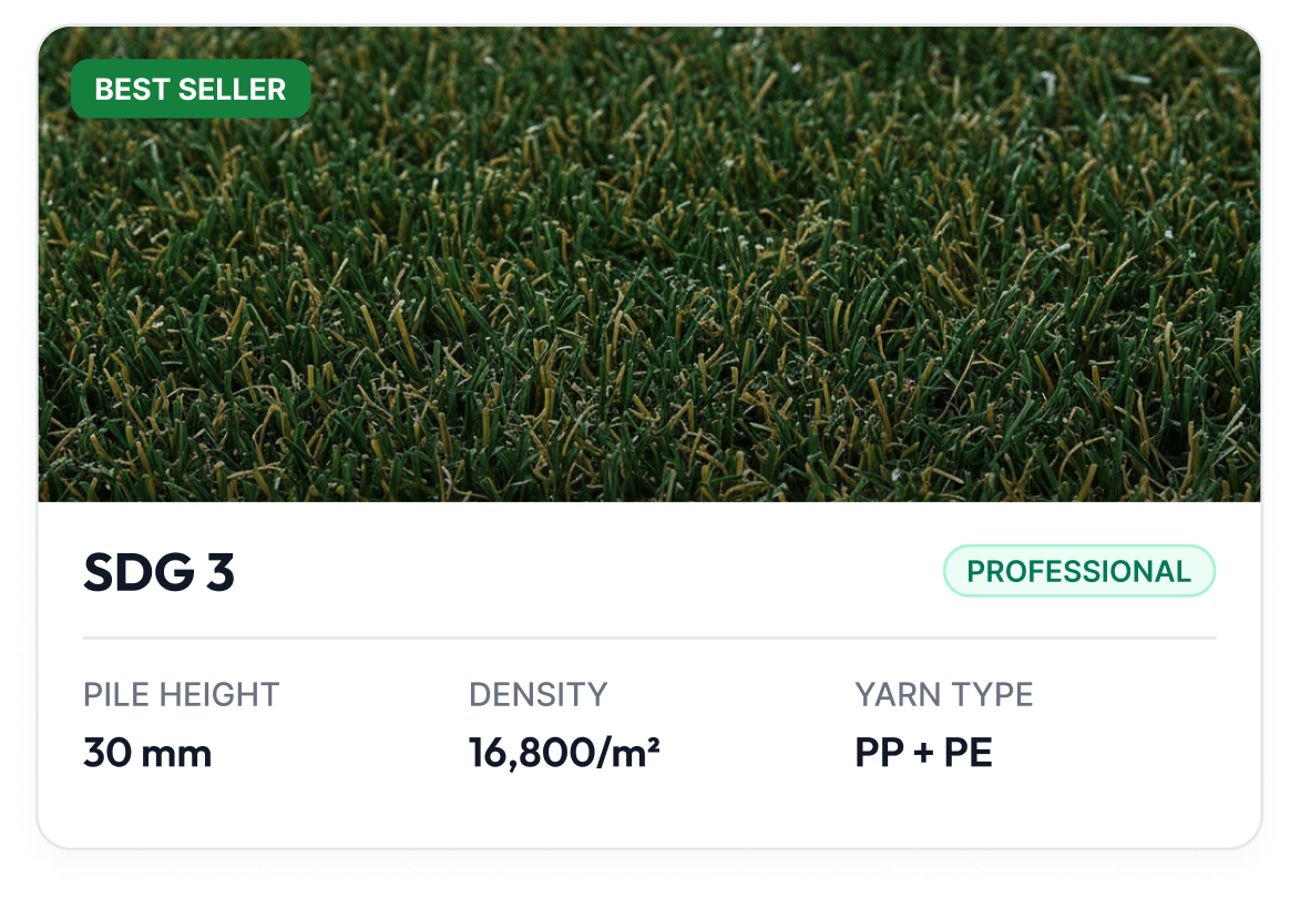 SDG 3 - Professional
